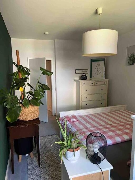 Stylische Maisonettewohnung Stadionnaehe,Wald,Westfalenhalle ドルトムント エクステリア 写真